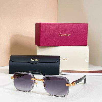 Cartier Sunglasses — 7