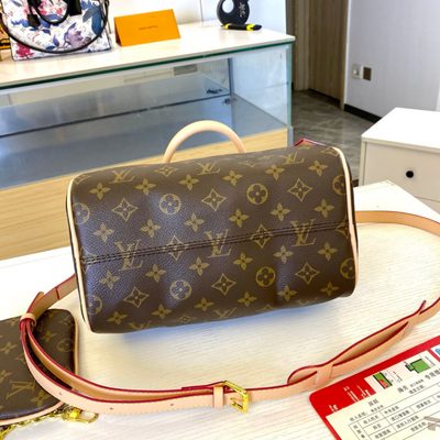 Louis Vuitton Bag — 8