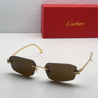 Cartier Sunglasses — 4