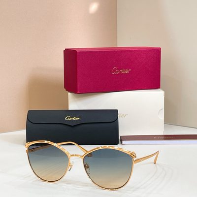Cartier Sunglasses — 4