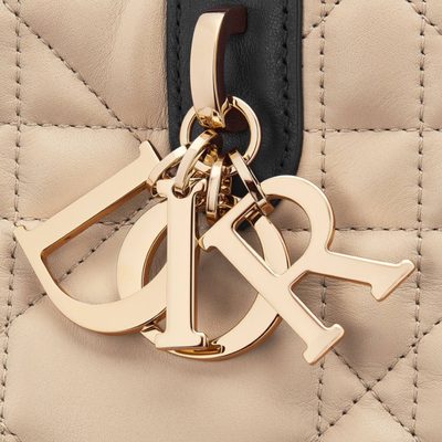 Dior Bag — 9