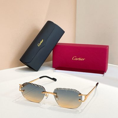 Cartier Sunglasses — 7