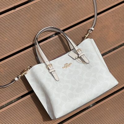 Coach Bag — 4