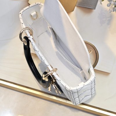 Dior Bag — 8