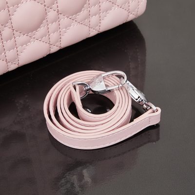 Dior Bag — 6