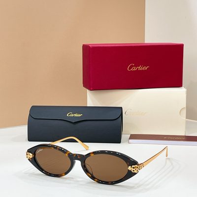 Cartier Sunglasses — 6