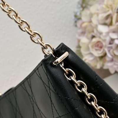 Dior Bag — 6