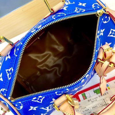 Louis Vuitton Bag — 9