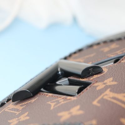 Louis Vuitton Bag — 4
