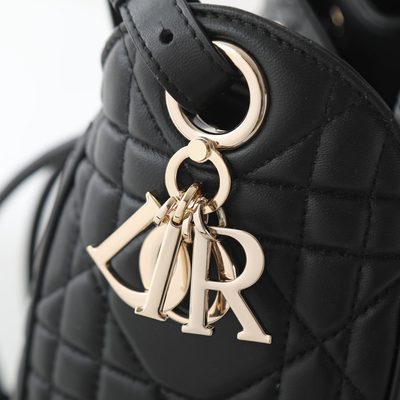 Dior Bag — 6