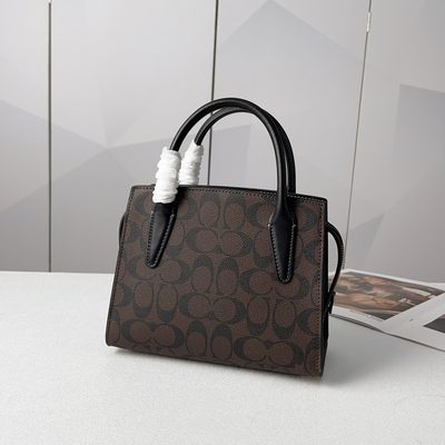 Coach Bag — 6