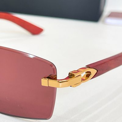 Cartier Sunglasses — 6