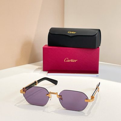 Cartier Sunglasses — 5