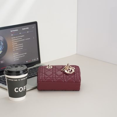 Dior Bag — 7