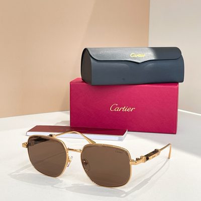 Cartier Sunglasses — 3