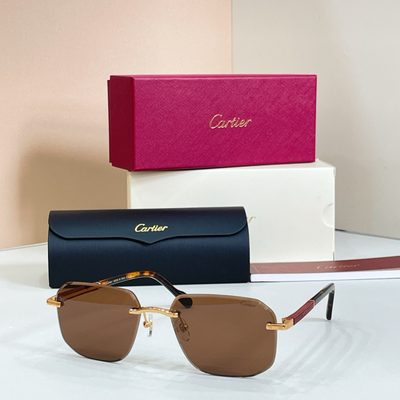 Cartier sunglasses