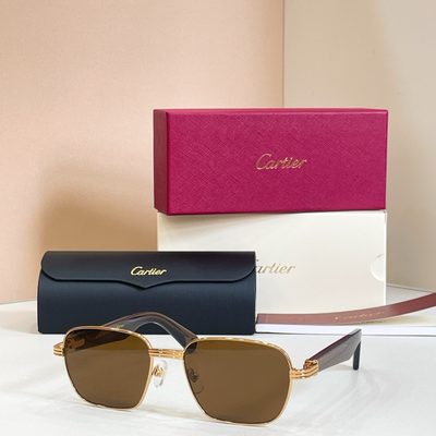 Cartier Sunglasses — 4