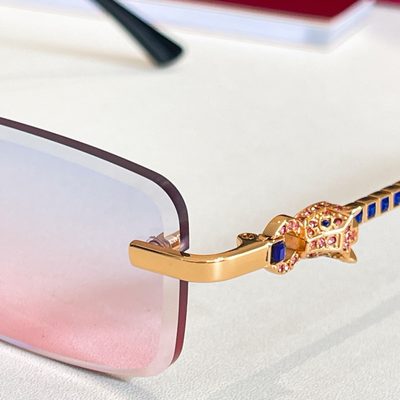 Cartier Sunglasses — 9