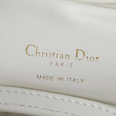 Dior Bag — 9
