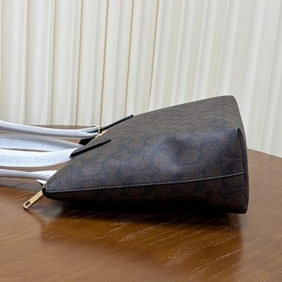 Coach Bag — 4