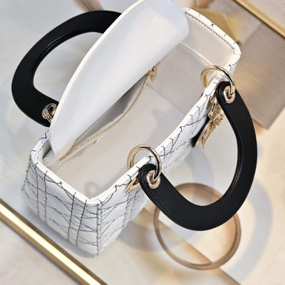 Dior Bag — 8