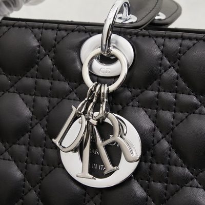 Dior Bag — 5