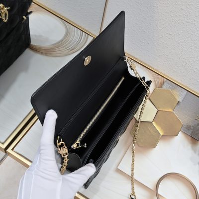 Dior Bag — 8
