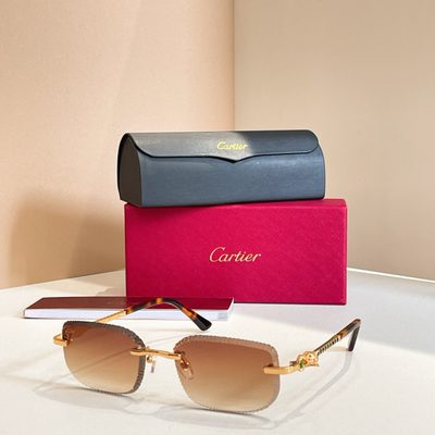 Cartier Sunglasses — 7
