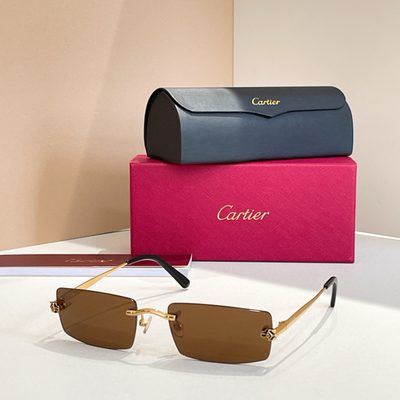 Cartier Sunglasses — 6