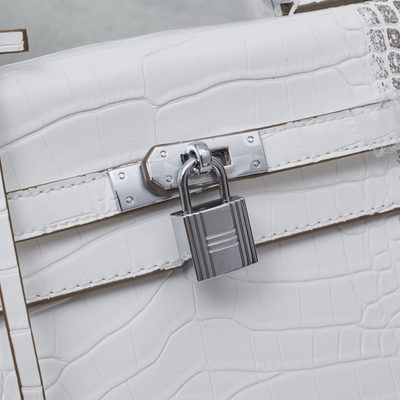 Hermes Bag — 6