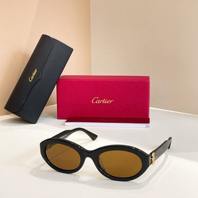Cartier Sunglasses — 5