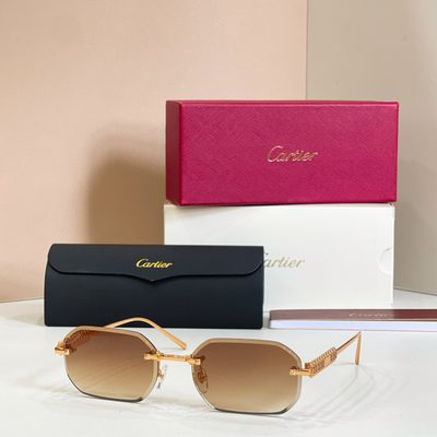 Cartier Sunglasses — 6