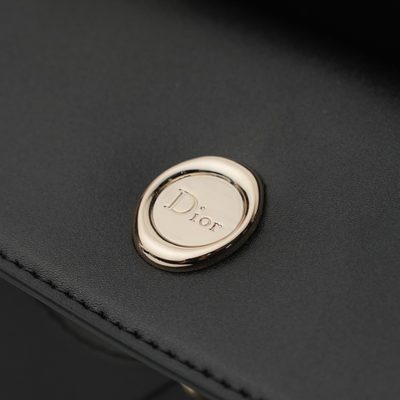 Dior Bag — 5