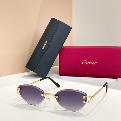 Cartier Sunglasses — 4