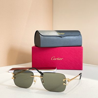 Cartier Sunglasses — 6