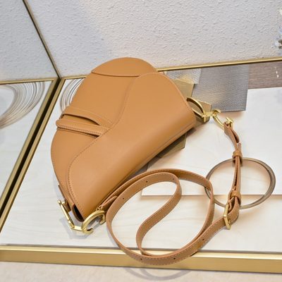 Dior Bag — 7