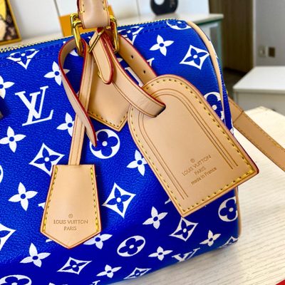 Louis Vuitton Bag — 4