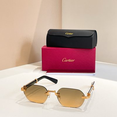 Cartier Sunglasses — 7