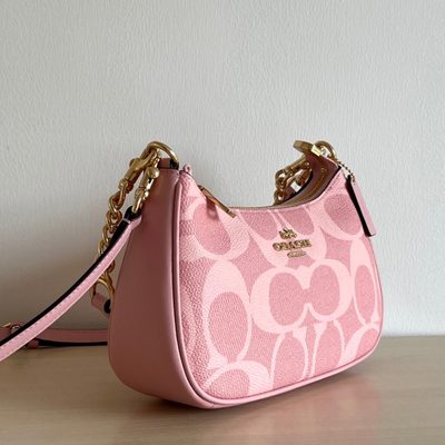 Coach Bag — 3