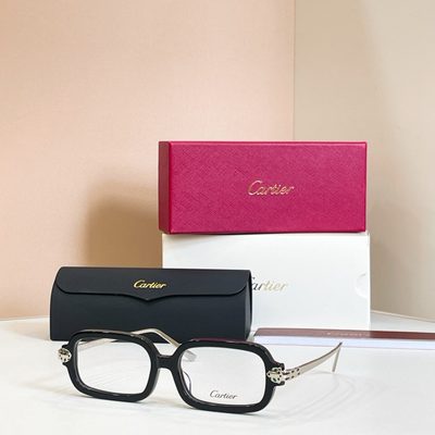 Cartier Sunglasses — 8