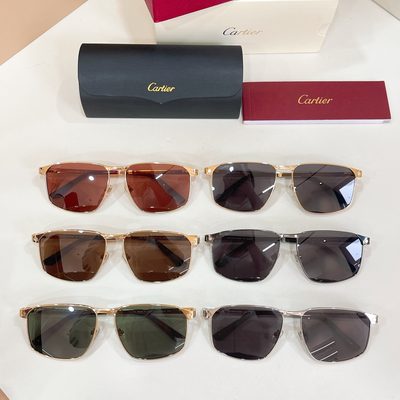 Cartier Sunglasses — 8