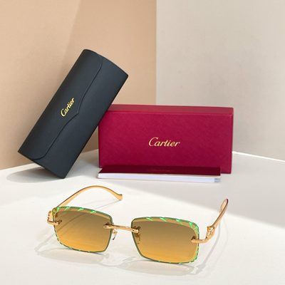 Cartier Sunglasses — 6