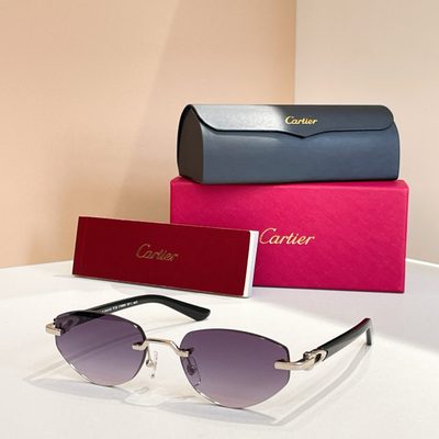 Cartier Sunglasses — 3
