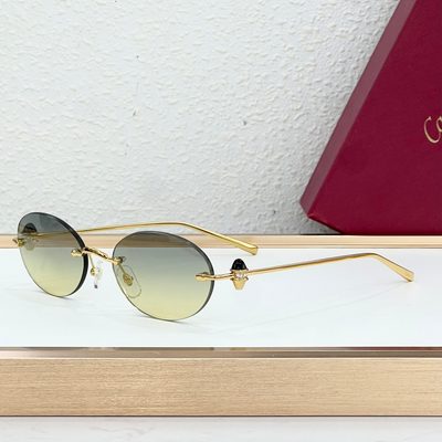 Cartier Sunglasses — 4