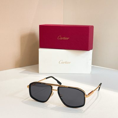 Cartier Sunglasses — 3