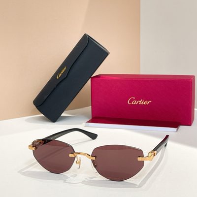 Cartier Sunglasses — 5