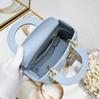 Dior Bag — 8