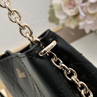 Dior Bag — 5