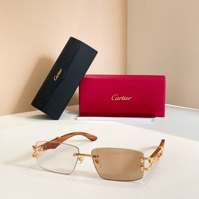 Cartier Sunglasses — 9