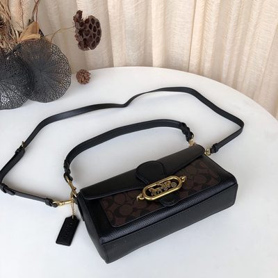 Coach Bag — 3